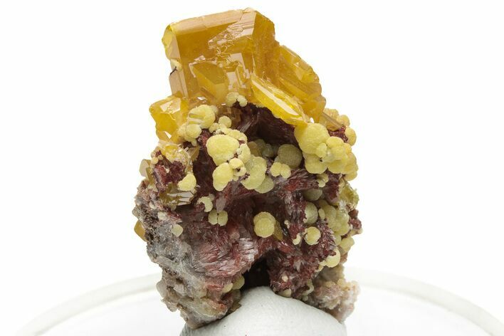 Orange Wulfenite and Botryoidal Mimetite - La Morita Mine, Mexico #225405